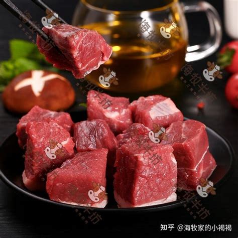 牛肉精禁忌|牛肉的功效与作用、禁忌和食用方法